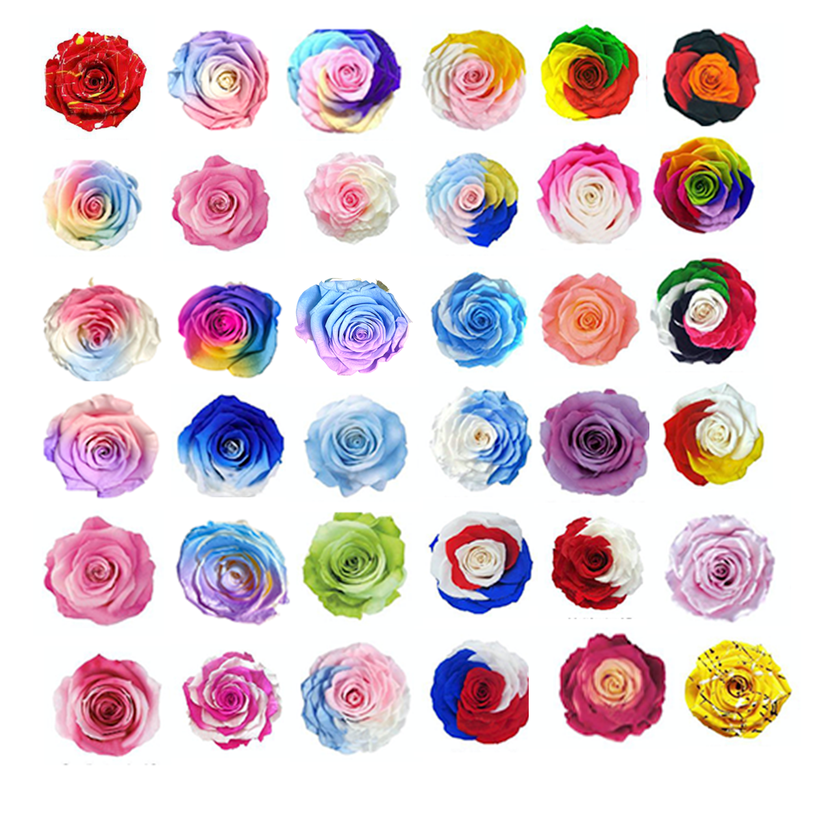 Spliced Roses at Imaginary Worlds